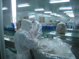 守护银发“食”光，赋能品质晚年 沁玖洲食品厂参观与老年养护服务的融合探索